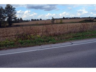 Property photo 48 - EHLE FARMS AUCTION - 118+/- ACRES IN 9 TRACTS IN ALLEN COUNTY, INDIANA